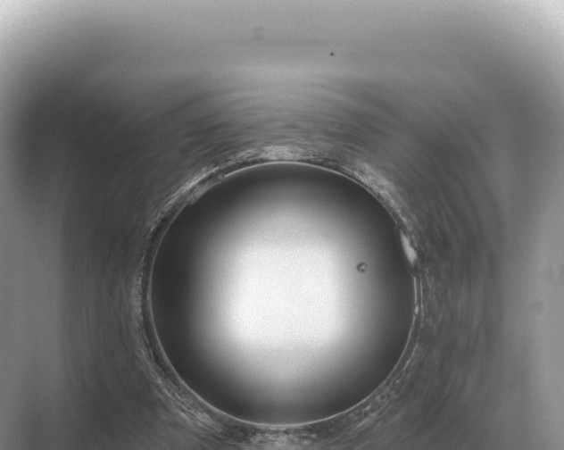 X0000071390297200606301843