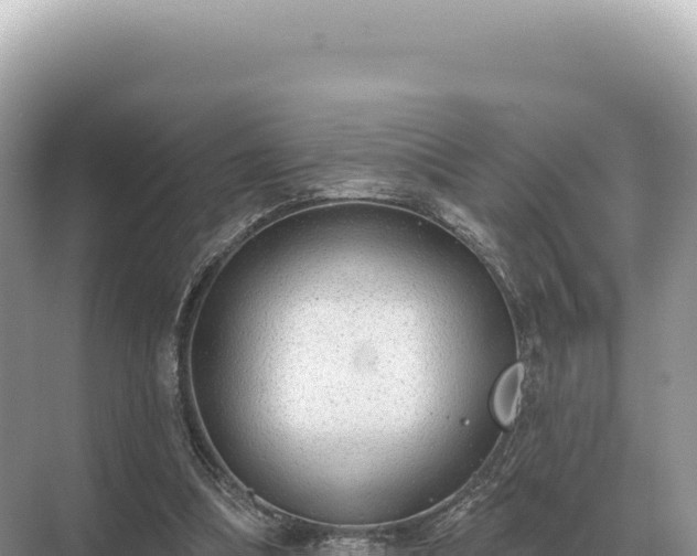 X0000071390298200606301843