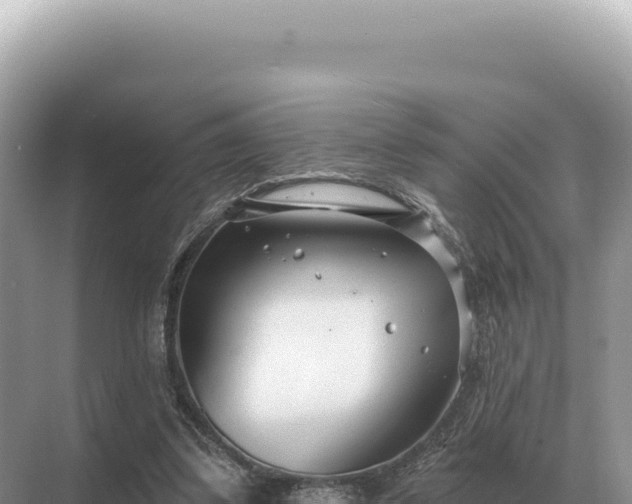 X0000071390299200606301843