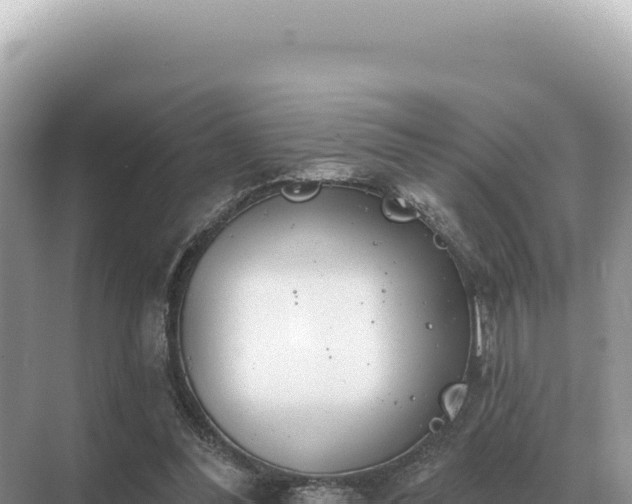 X0000071390300200606301843