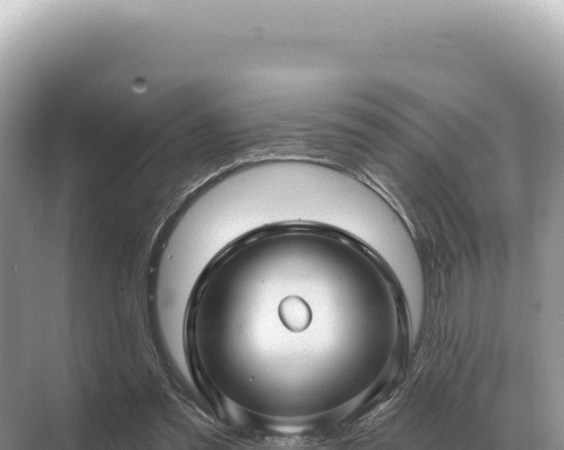 X0000071390301200606301843