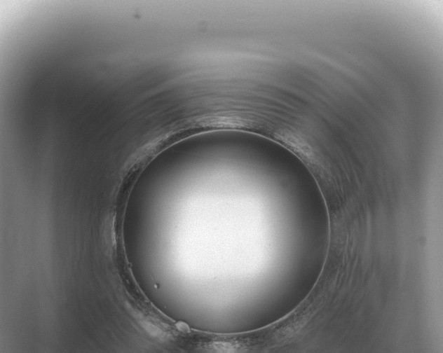 X0000071390302200606301843