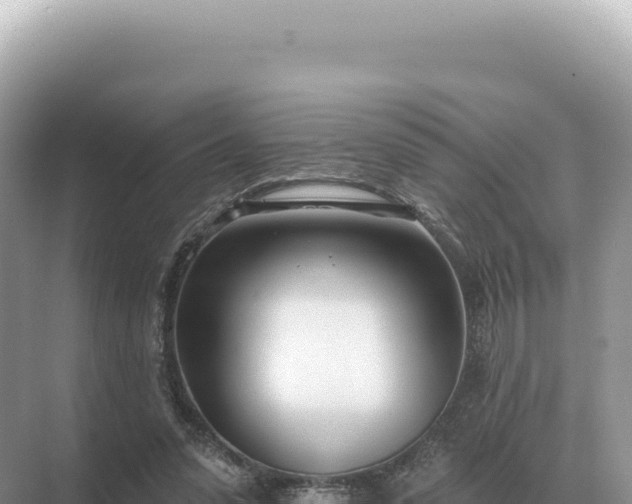 X0000071390303200606301843