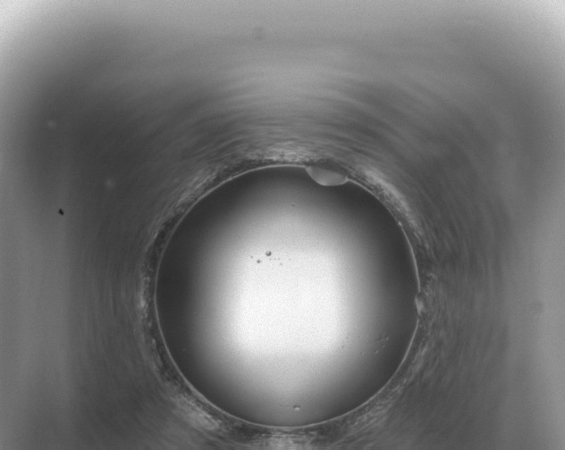 X0000071390305200606301843