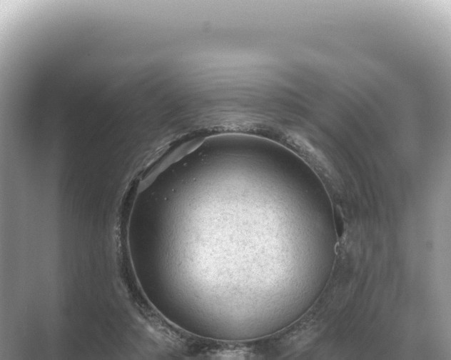 X0000071390306200606301843