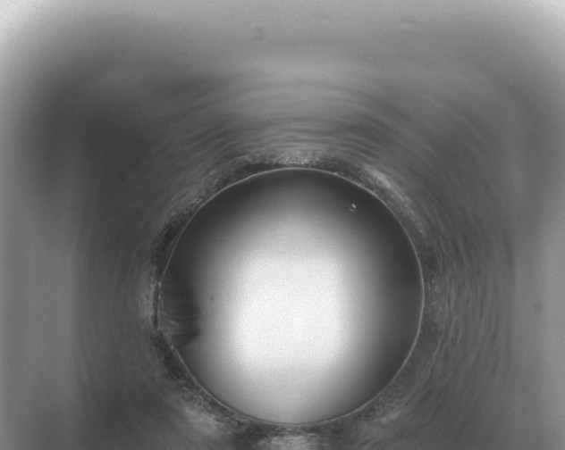 X0000071390307200606301843