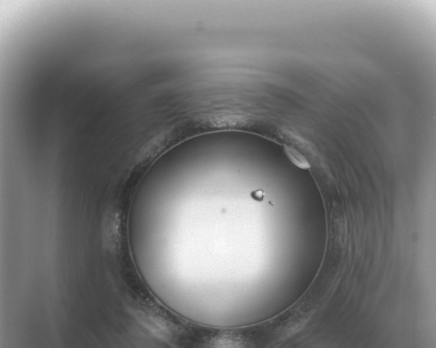 X0000071390308200606301843