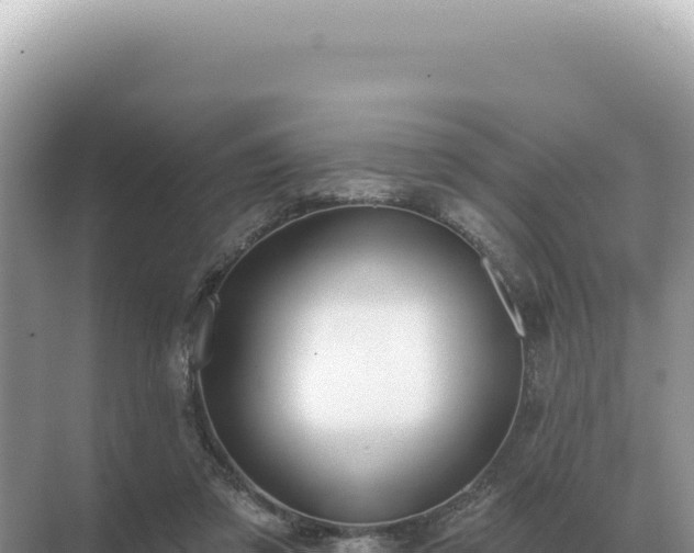 X0000071390309200606301843