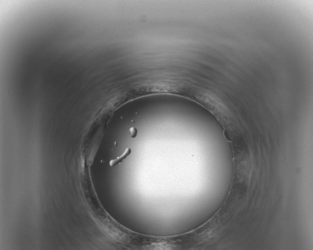 X0000071390310200606301843