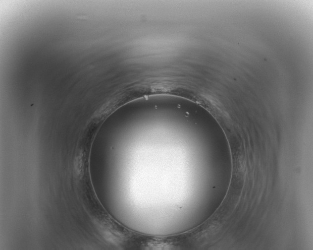 X0000071390311200606301843