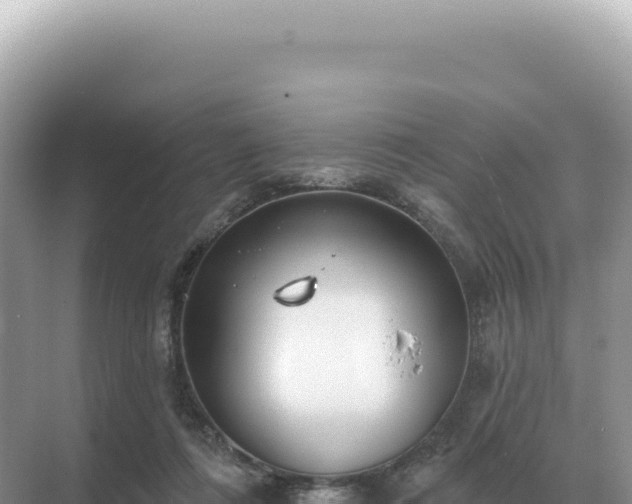 X0000071390312200606301843