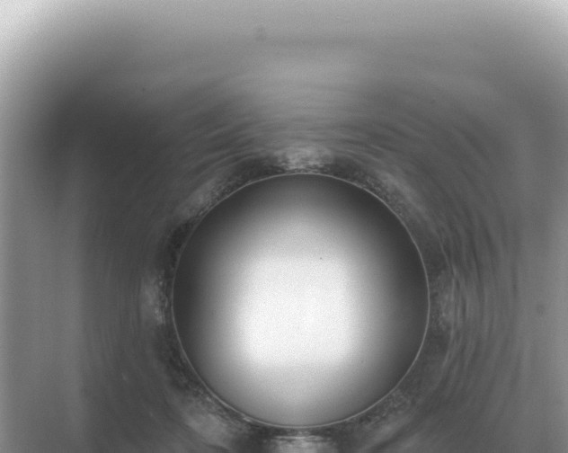 X0000071390316200606301842