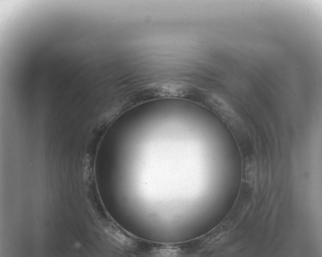 X0000071390318200606301842