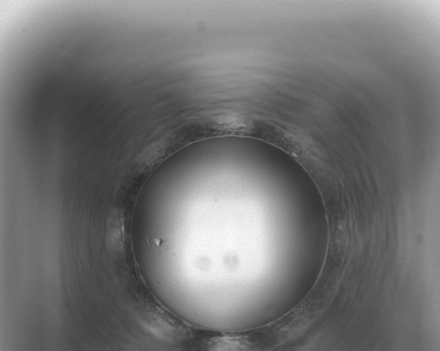 X0000071390320200606301842