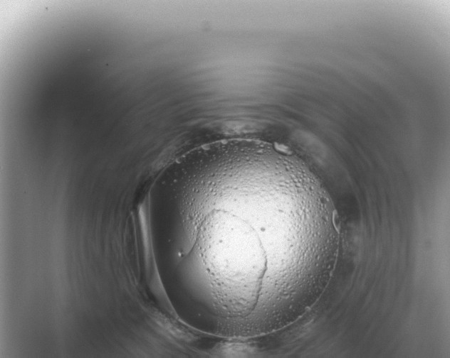 X0000071390327200606301842