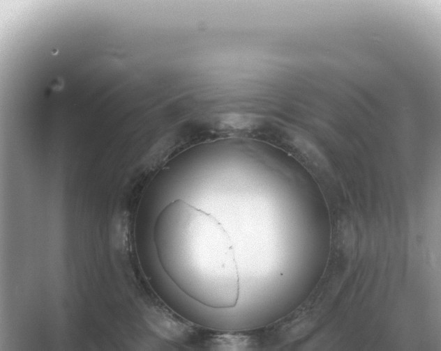 X0000071390328200606301842