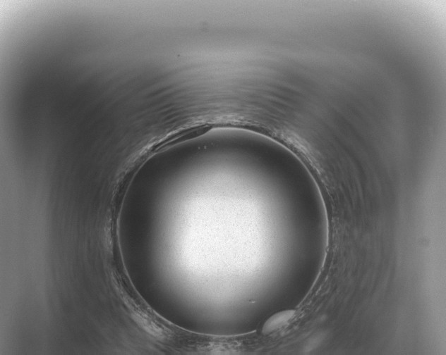 X0000071390345200606301841