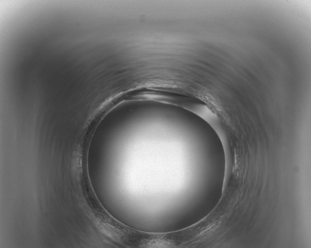 X0000071390348200606301841
