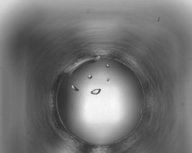 X0000071390362200606301842