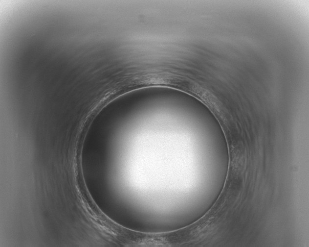 X0000071390386200606301841
