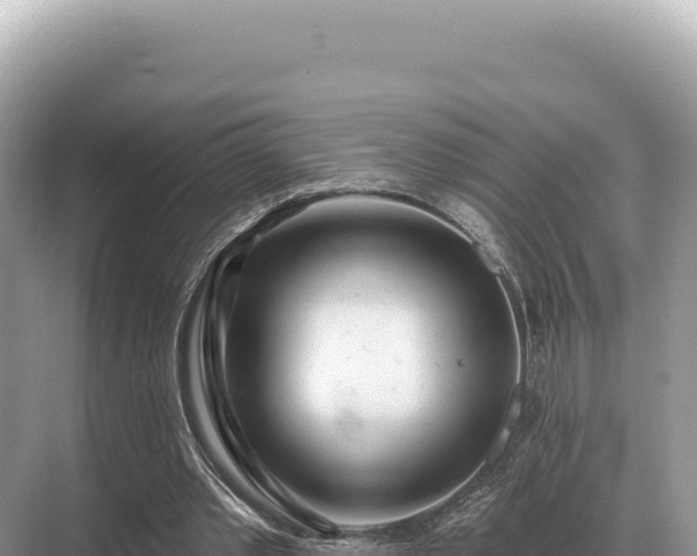 X0000071390389200606301841