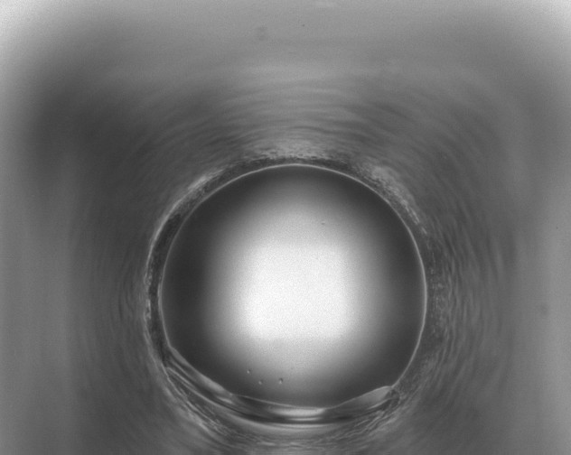 X0000071390395200606301841