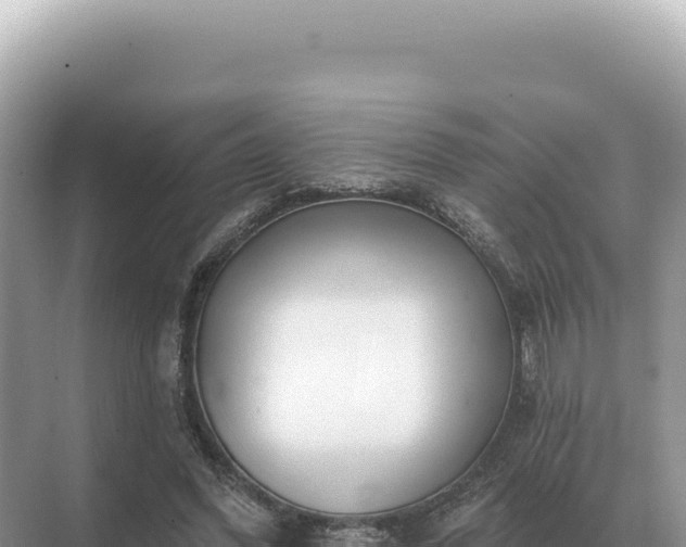 X0000071390396200606301841