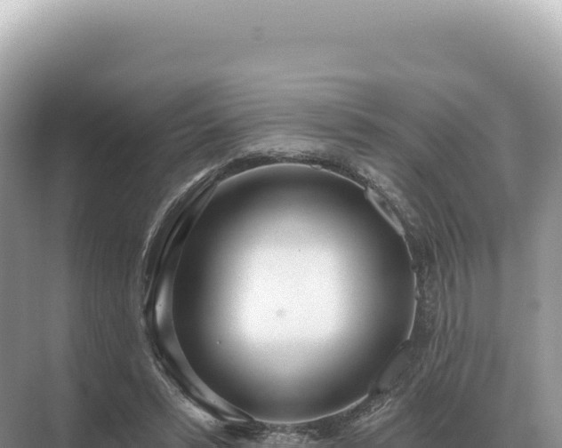 X0000071390399200606301841