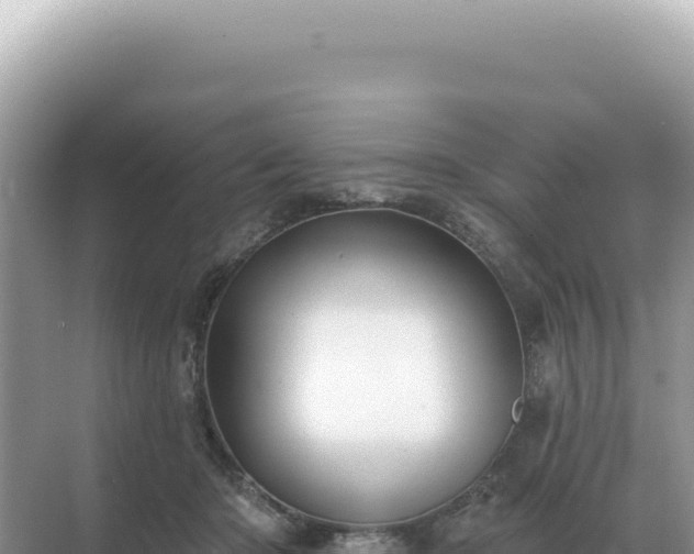X0000071390414200606301841
