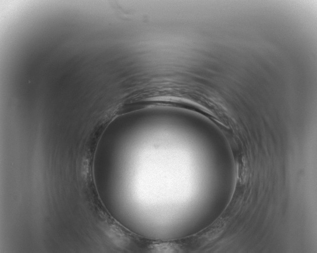 X0000071390417200606301841