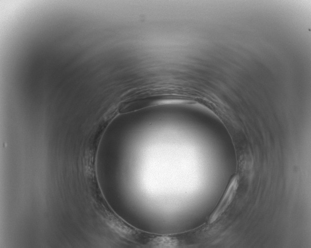 X0000071390421200606301841