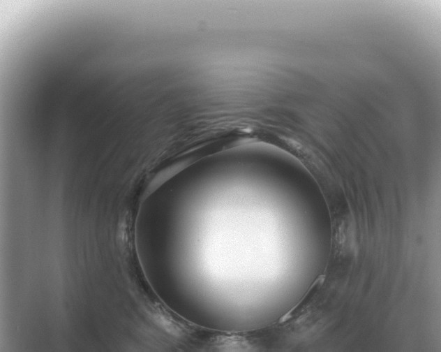 X0000071390424200606301841