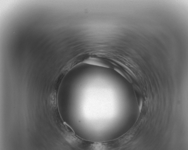X0000071390425200606301841