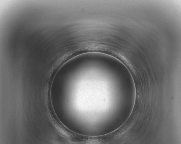 X0000071390445200606301840