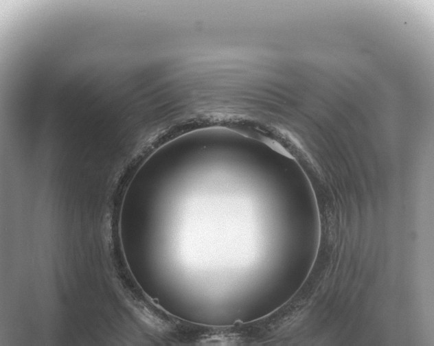 X0000071390447200606301840
