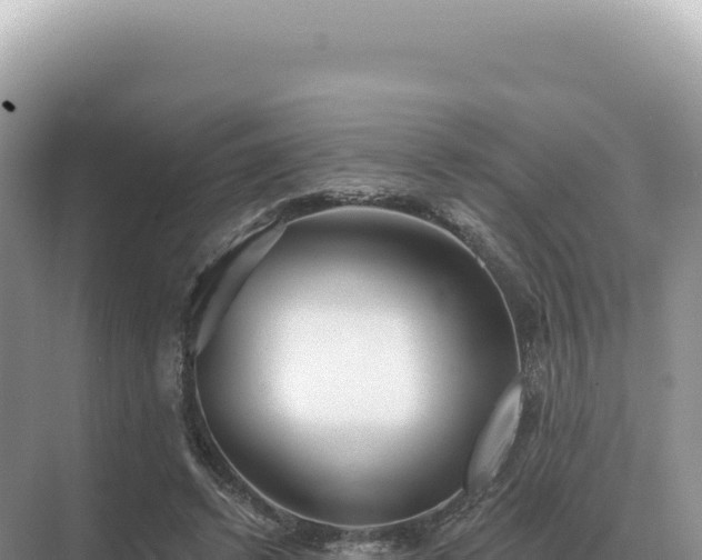 X0000071390448200606301840