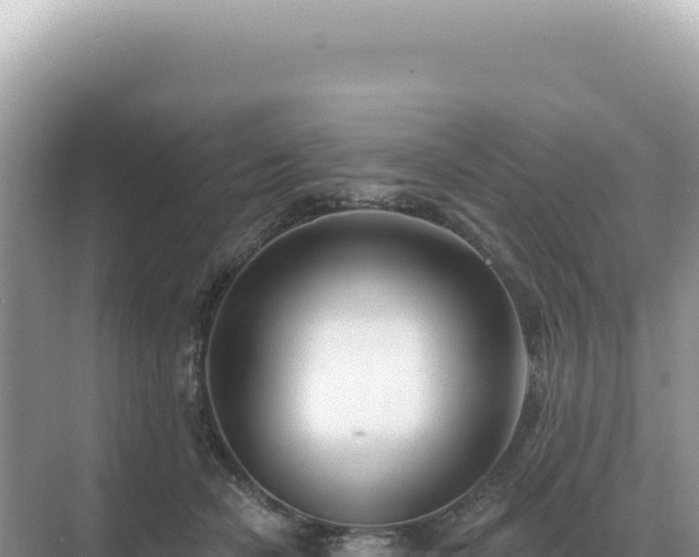 X0000071390462200606301840