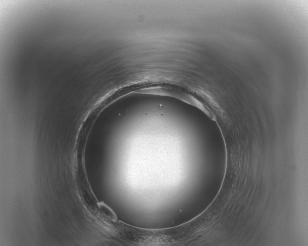 X0000071390488200606301840