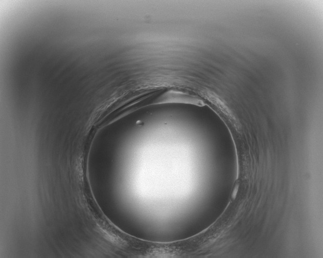 X0000071390489200606301840