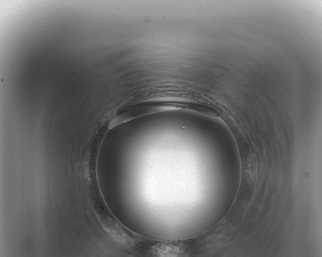 X0000071390512200606301839