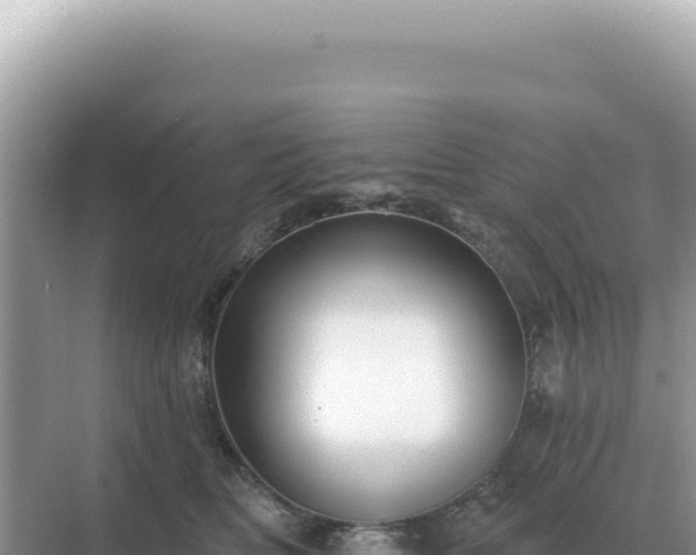 X0000071390518200606301839