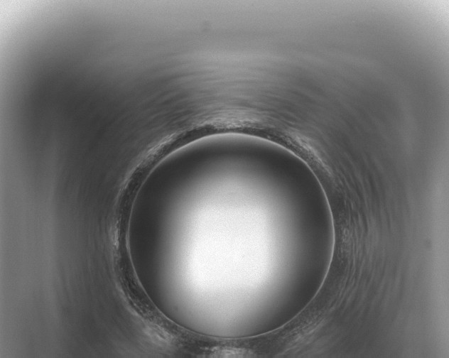 X0000071390539200606301838