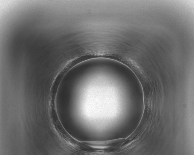 X0000071390540200606301838