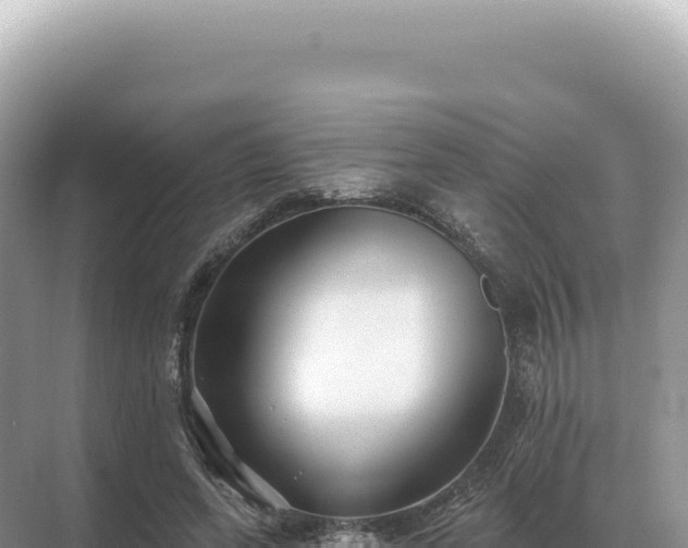 X0000071390543200606301838