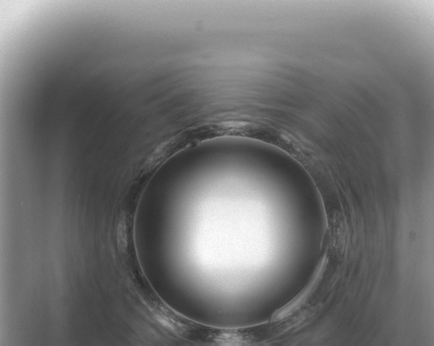 X0000071390562200606301839