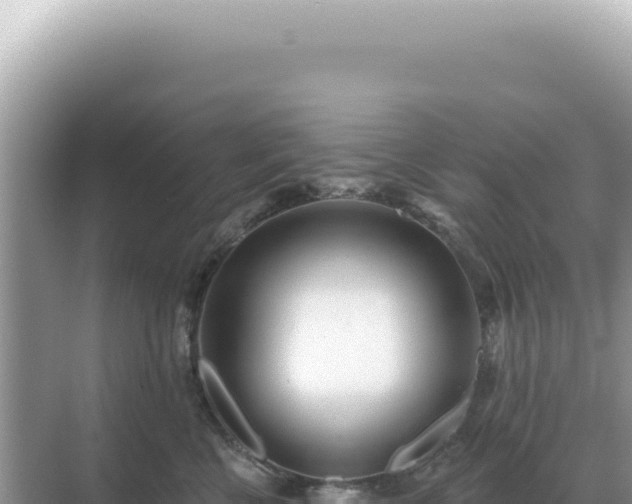 X0000071390570200606301839