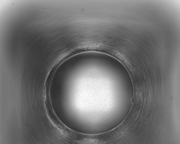 X0000071390582200606301838