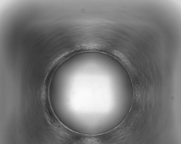 X0000071390583200606301838