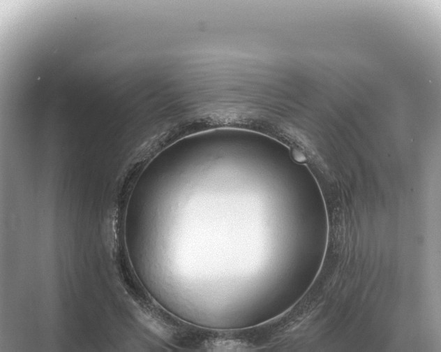 X0000071390590200606301838