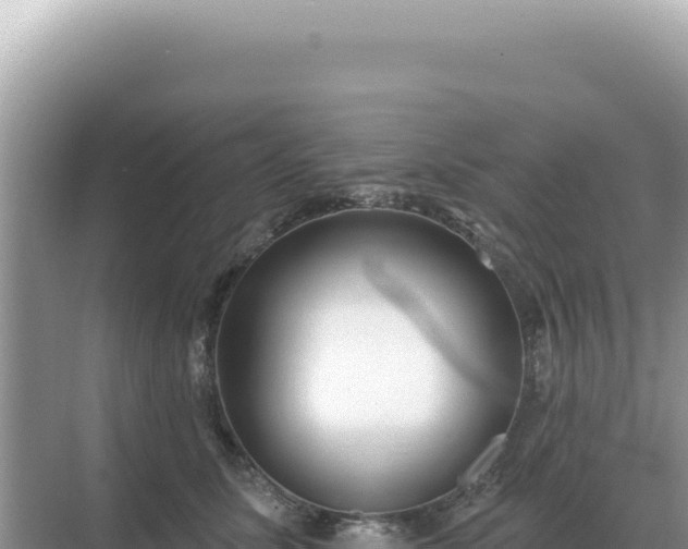 X0000071390611200606301837